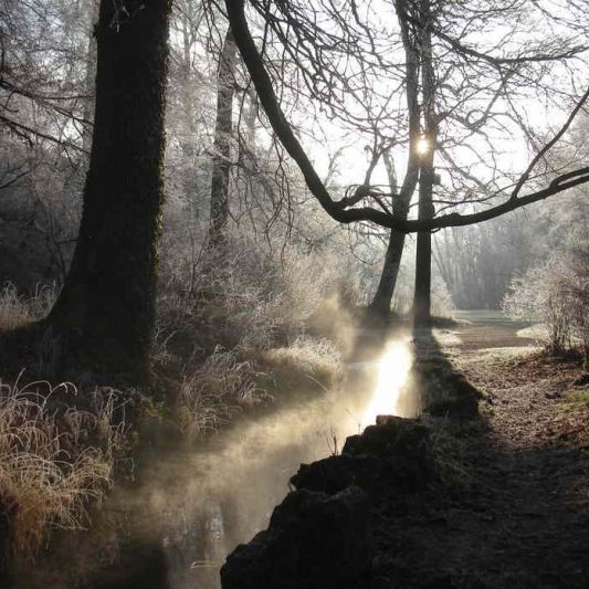 Fotograf Weimar Ilmpark Leutra Winter Sonne Nebel
