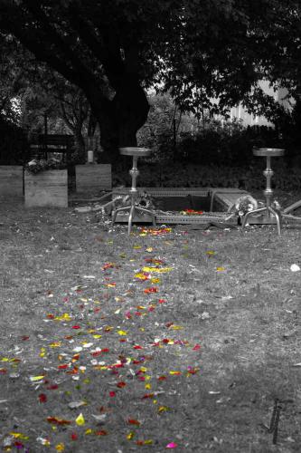 Fotograf Weimar Grab Blumen