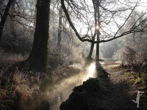 Fotograf Weimar Ilmpark Leutra Winter Sonne Nebel